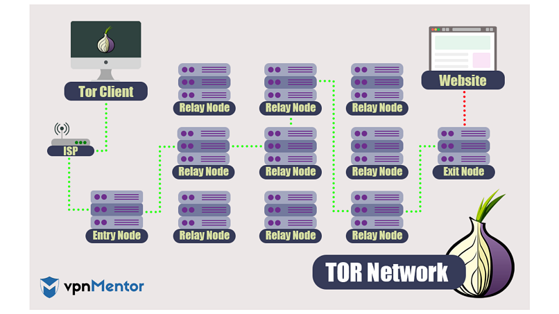Tor Network 
